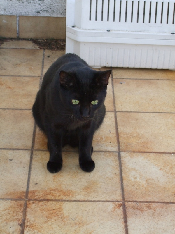 Ostern 2007 Orleshausen 075 